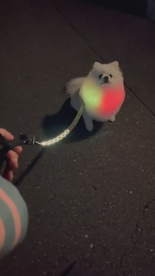 🐶 Пёс-киборг