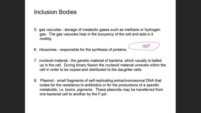 Bacterial appendages, inclusion bodies and eukaryotic structure and function