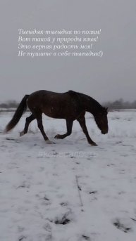 13.02.25 АЗ. тыгыдык #ниднябезрифмы