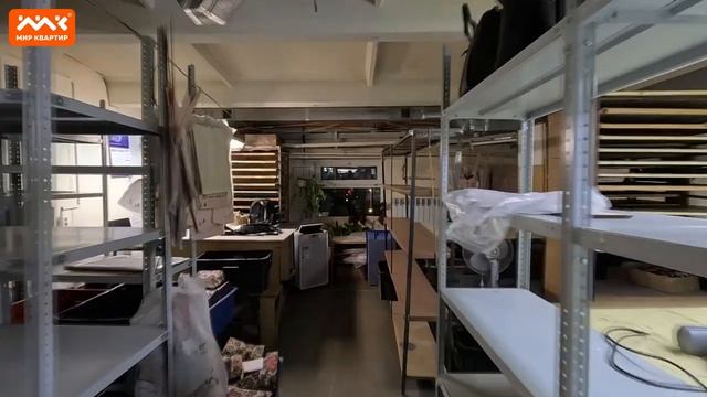 г. Санкт-Петербург,Василеостровский р-н,пр-кт Малый В.О.,д. 55