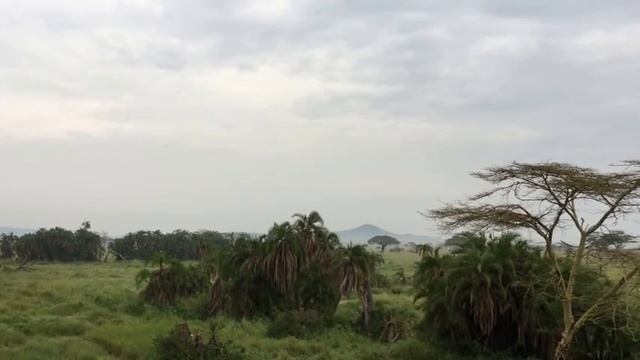 Serengeti Balloon Breakfast