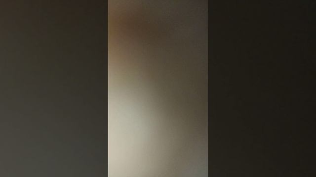 12-02-2025