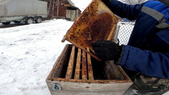 Зимнее объединение семей