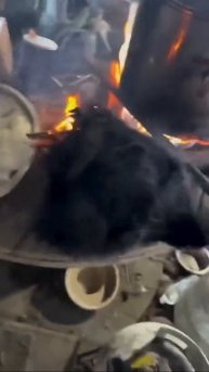 курица слегка подгорела...