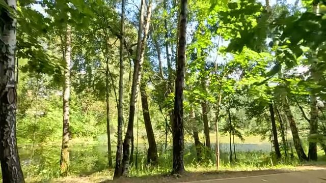 Уличив мужа в неверности, жена показала свекрови видео с любовницей… Если бы она только знала…