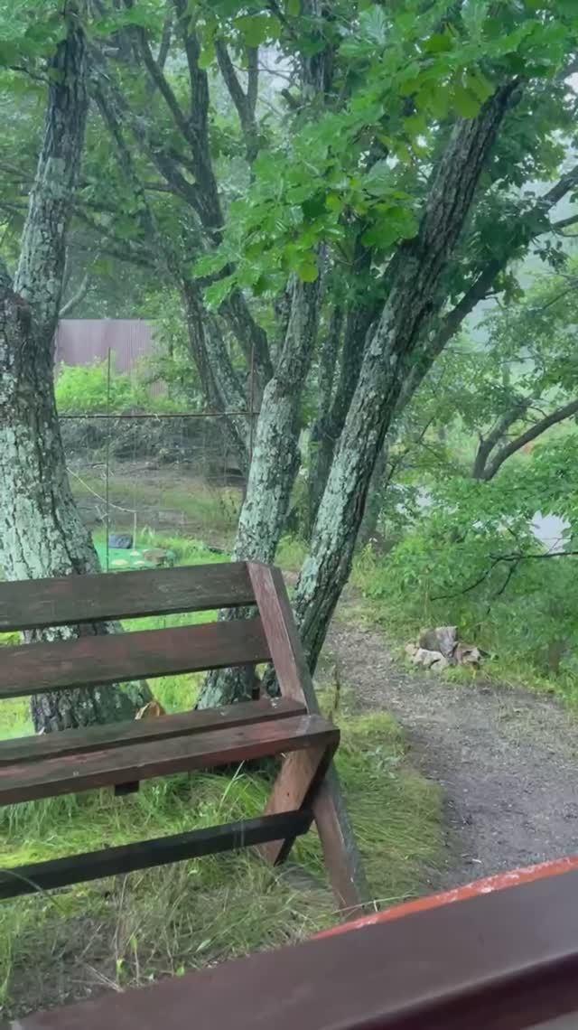 Шум дождя