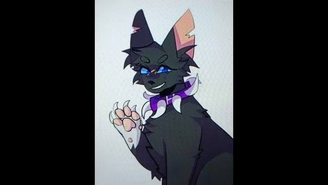 1000002117.mp4