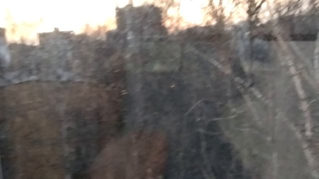 1000000972.mp4