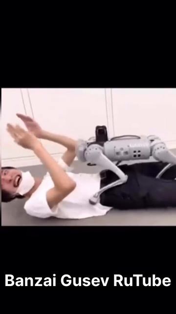 Когда решил завести собаку в Японии. #япония #юмор #мемы #мем #шортс #банзайгусев #собака