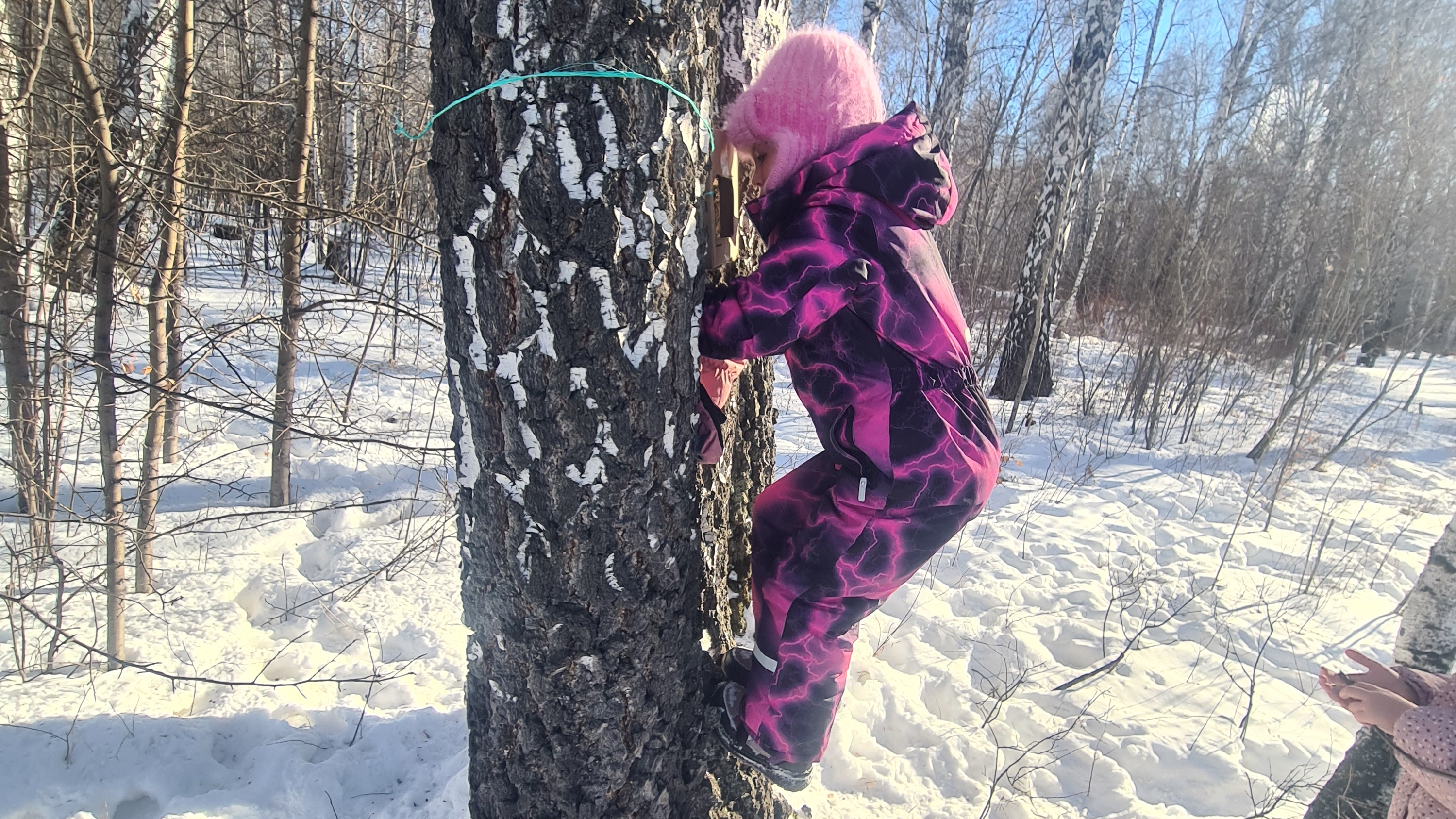 всем привет вступайте в телеграм канал https://t.me/+6gRt-YgDy9Y4NmM6