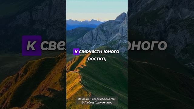“О невинности детей и лжи взрослых”