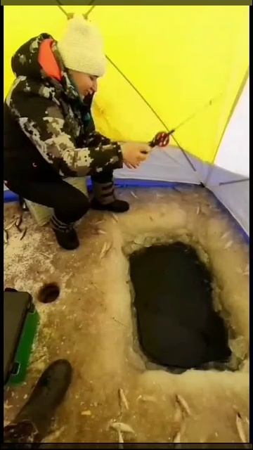 😃 🤪 🐟
