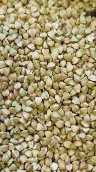 Гречка зеленая для проращивания