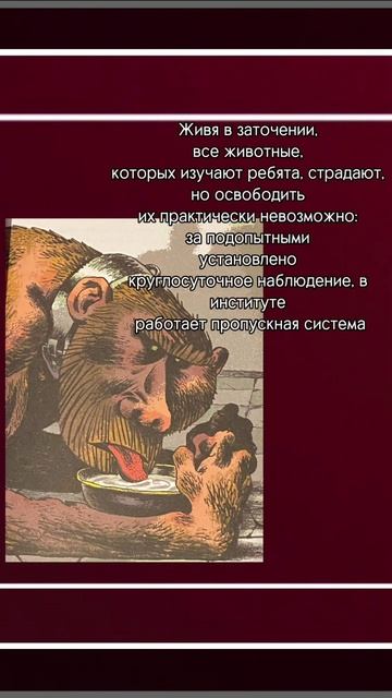 Обзор повести «Самсон