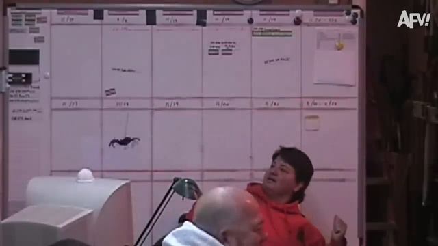 We found the best pranks  Funniest Videos of the Week