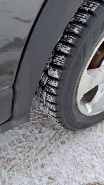 VID_20250213_164521_543.mp4.mov