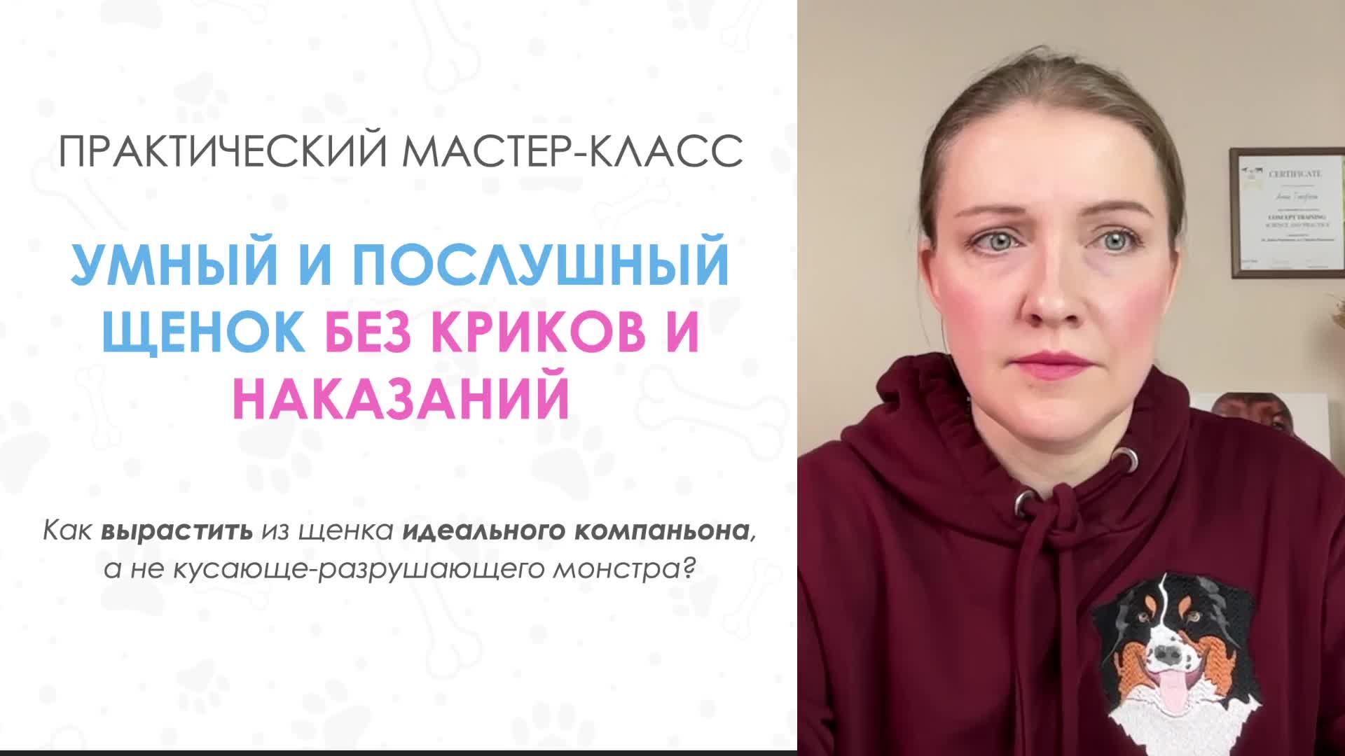 Прогон щенок 13.02