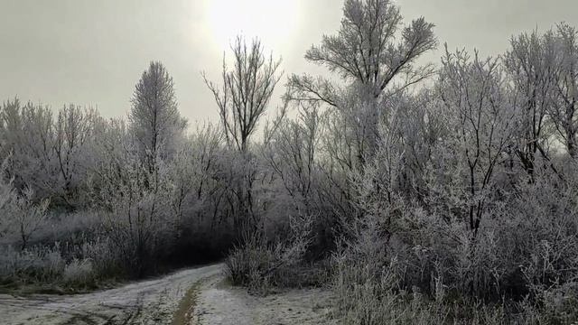 13 февраля 2025