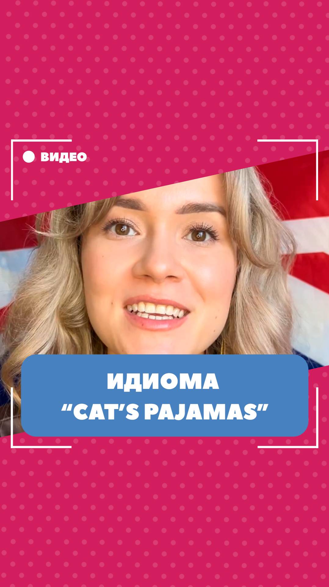 Значение идиомы "cat's pajamas". Школа английского языка English Discussions