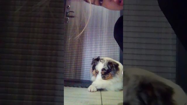 смешнючей Барни.