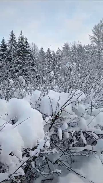 1000073669.mp4