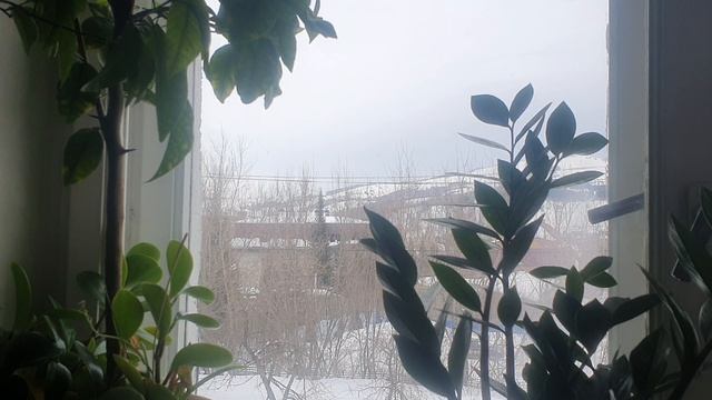 Моё время