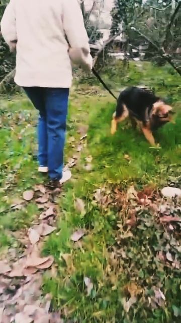 1000041167.mp4