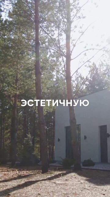 Елки