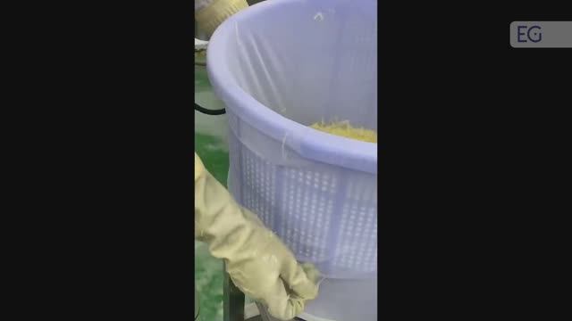 Центрифуга для отжима икры YT-50TSJ