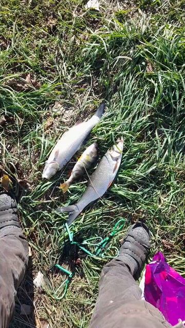 рыбалка Салават