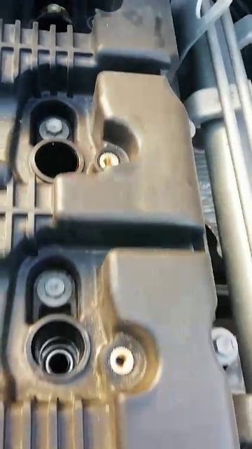 VID-20250128-WA0004