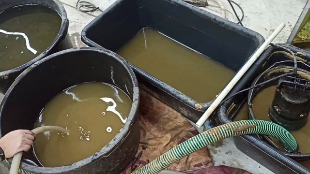 Скважина в Ставрово и районе . много воды за копейки ...синие пески