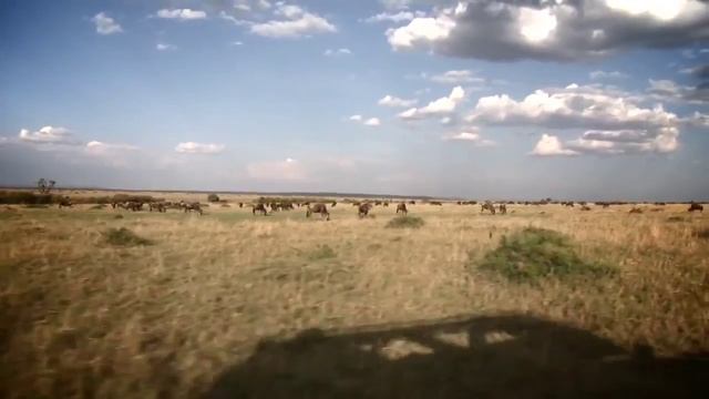 Masai Mara Basecamp Explorer in Magical Kenya