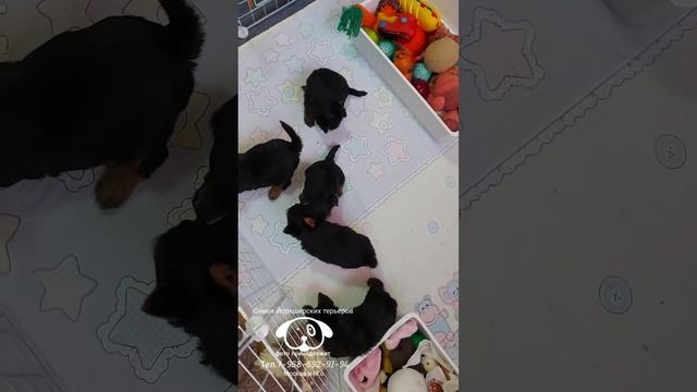 Маленькие любопышки🤗😘🩵🩵🩵🩵🩷