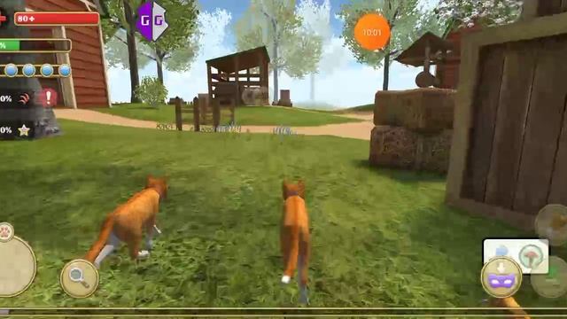 2025-02-12_20-30-51.mp4