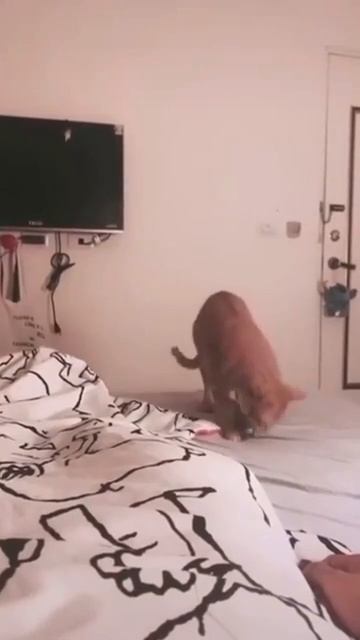 время игры