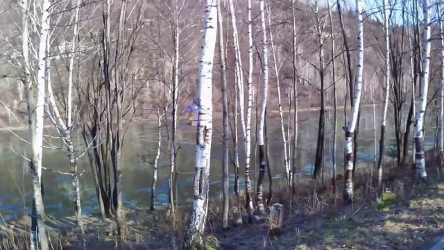 Осень