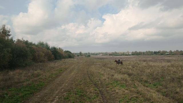 «Выйду ночью в поле с конем» в переложении Арсения Газизова для квартета контрабасов!