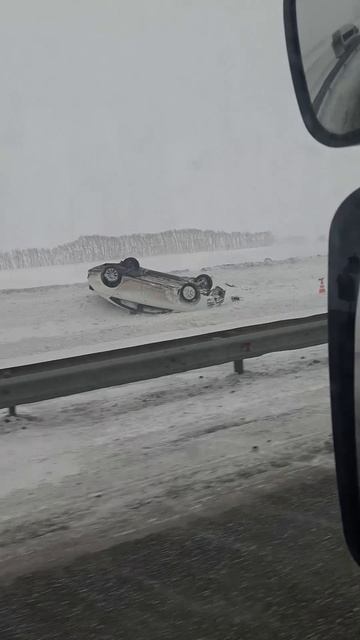 Естественный отбор!