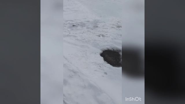 Зимушка вернулась. Красивая и нарядная.