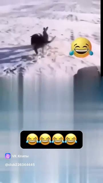 1000012246.mp4