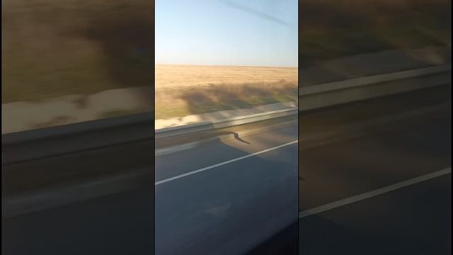 Я Еду без остановок
