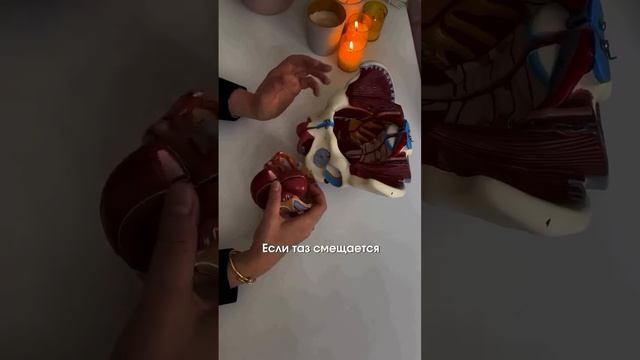 Красивая п🍑па - залог женского здоровья😉