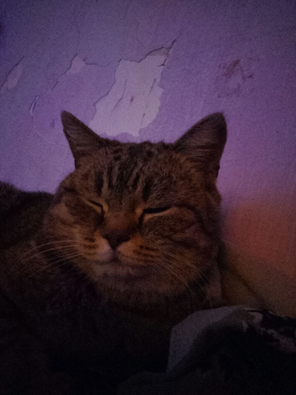 вау