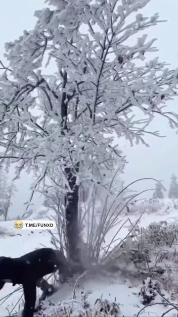 Так даже лучше.