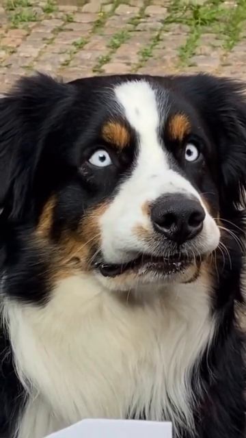 1000073469.mp4