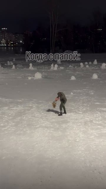 Когда гуляешь с папой