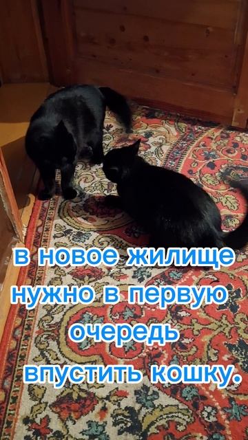 1000022355.mp4
