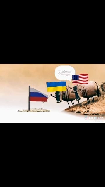 правда жизни