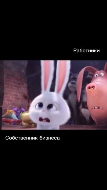 Когда директор сам решил разобраться в налогах
